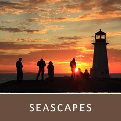 Galleries - Seascapes